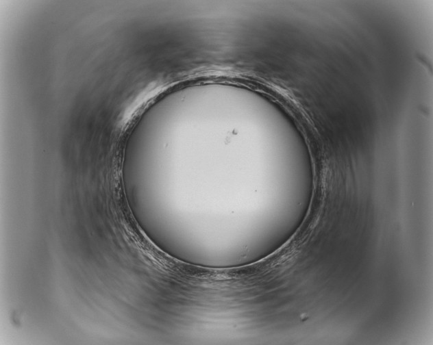 X0000102851359200808181038