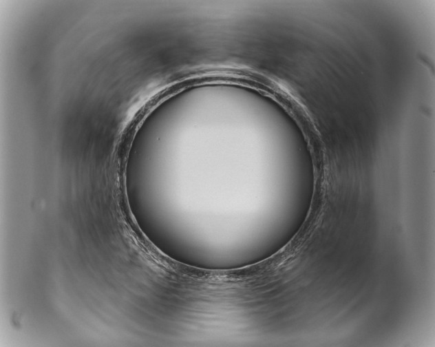 X0000102851360200808181038