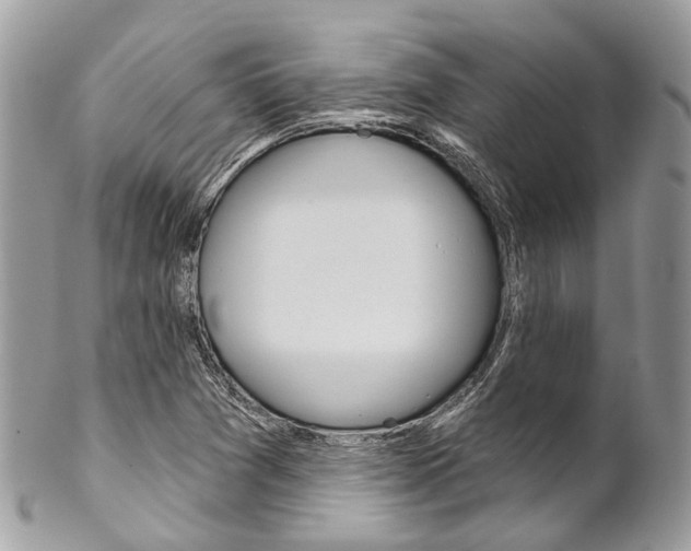 X0000102851361200808181038