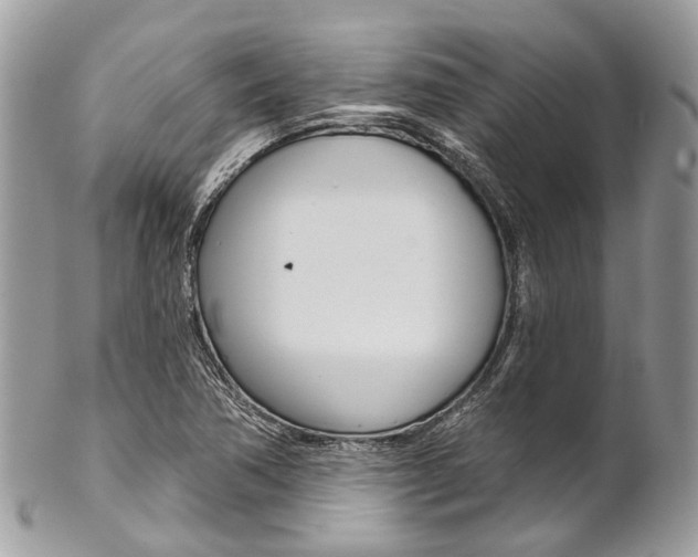 X0000102851362200808181038