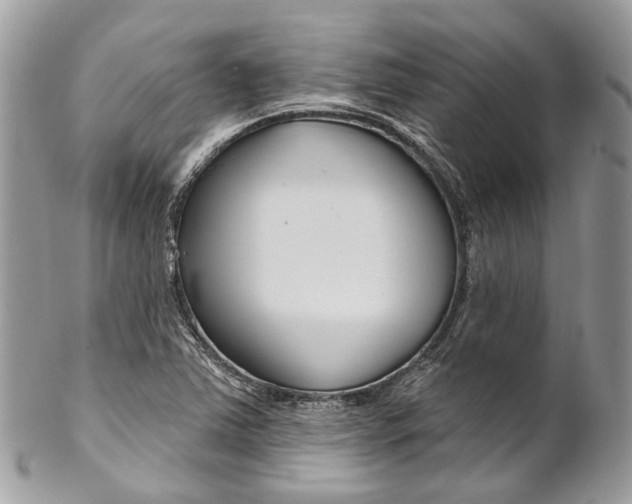X0000102851363200808181038