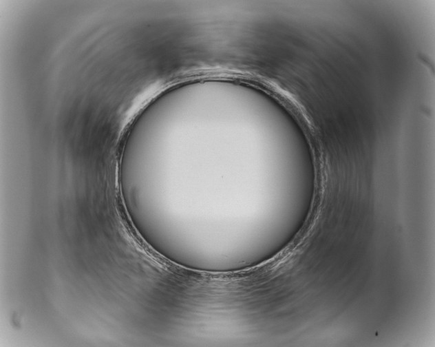 X0000102851365200808181038