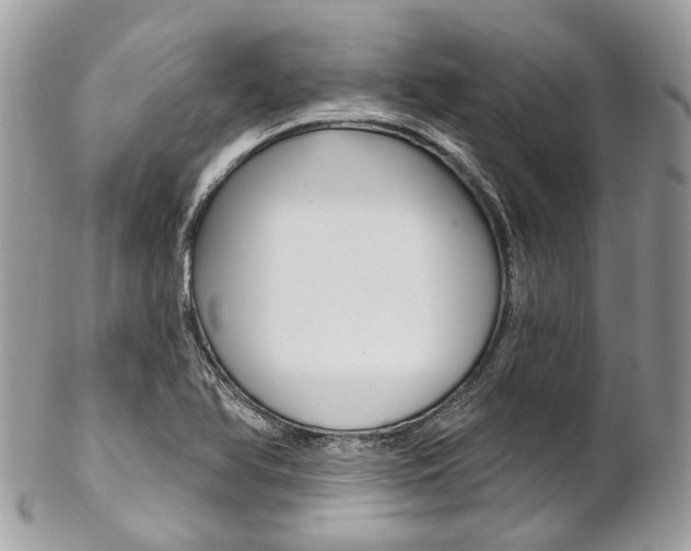 X0000102851366200808181038