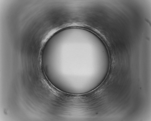 X0000102851367200808181038