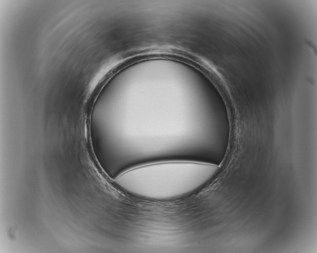 X0000102851368200808181038