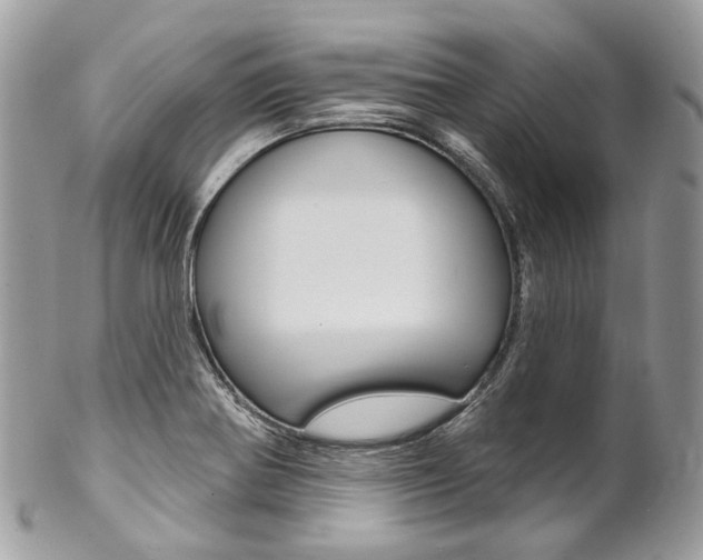 X0000102851370200808181038