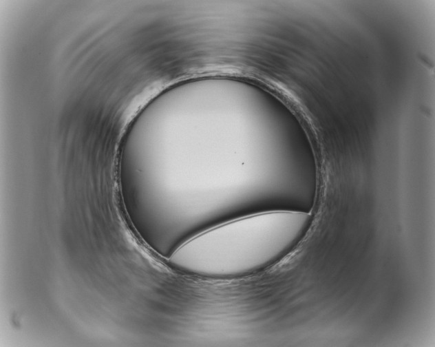 X0000102851373200808181038