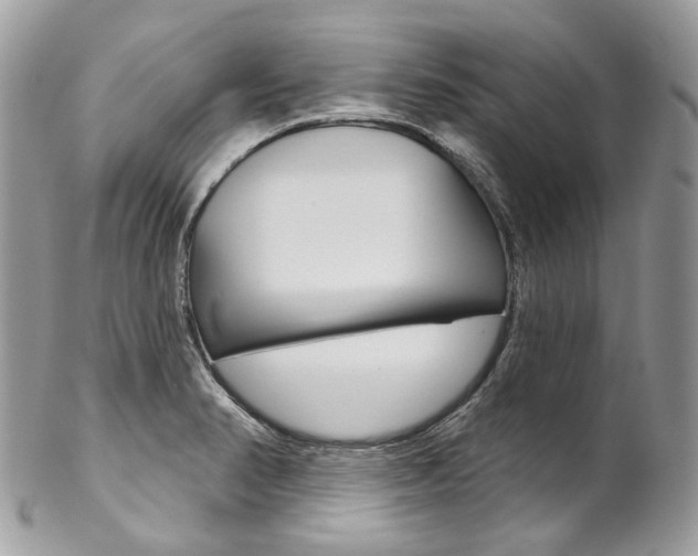 X0000102851374200808181037
