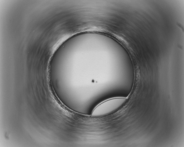 X0000102851375200808181037