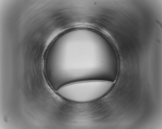 X0000102851376200808181037