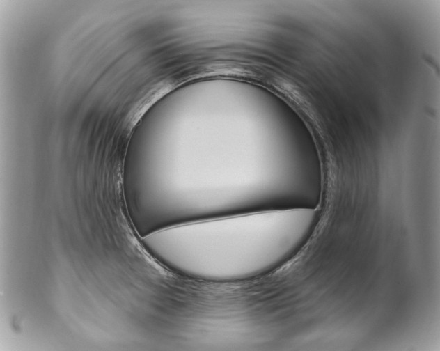 X0000102851377200808181037