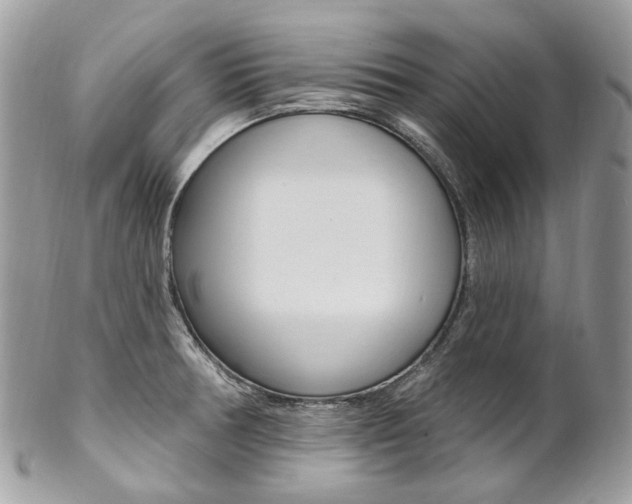 X0000102851378200808181037