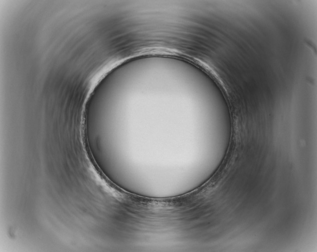 X0000102851379200808181037