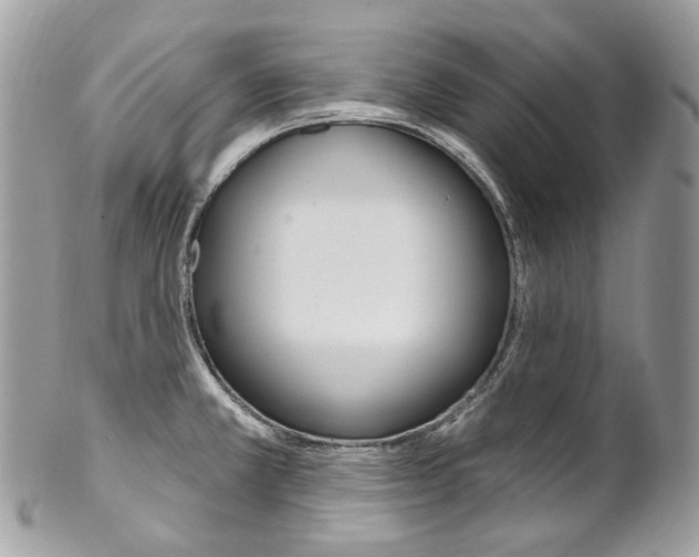 X0000102851381200808181037