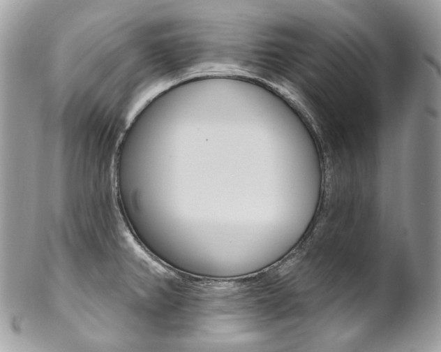 X0000102851382200808181037