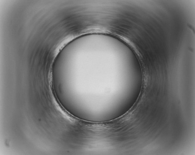 X0000102851383200808181037