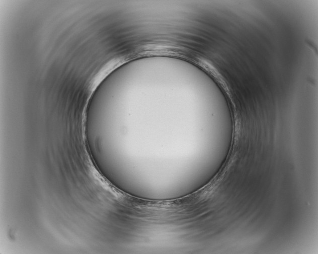 X0000102851386200808181037