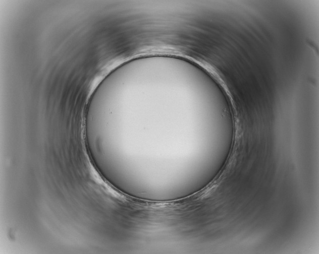 X0000102851390200808181037