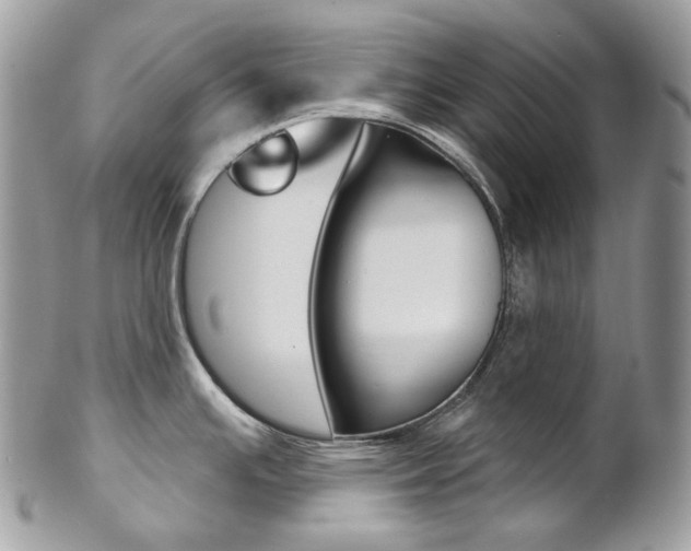 X0000102851391200808181037