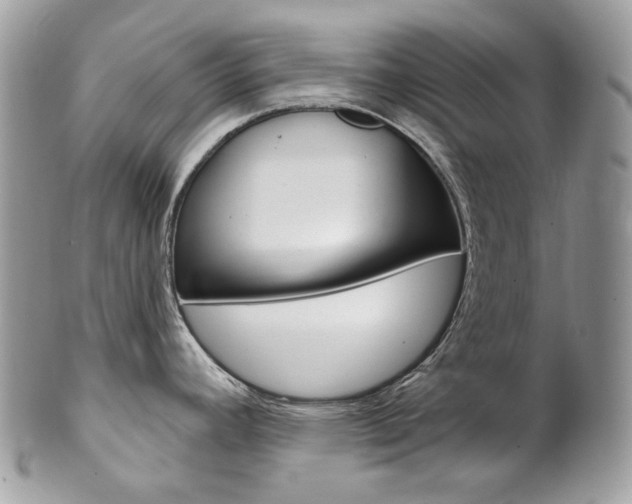 X0000102851392200808181037