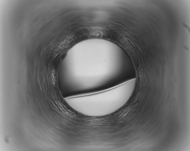 X0000102851394200808181037