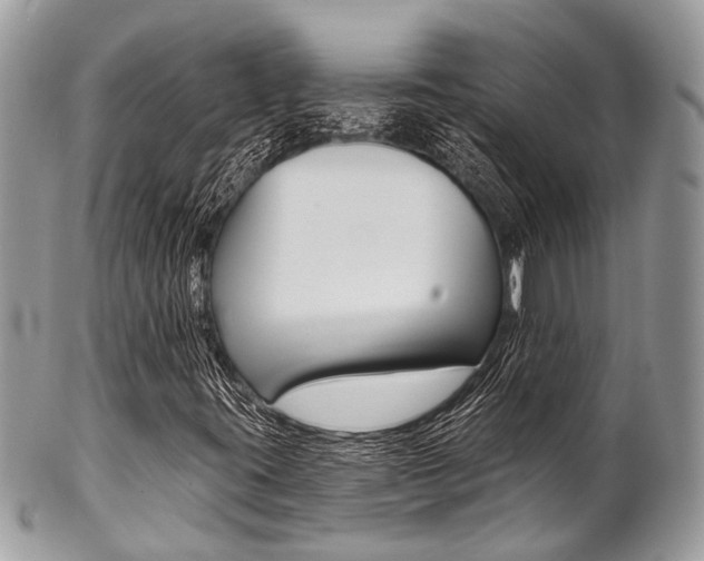 X0000102851395200808181037