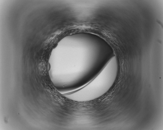 X0000102851398200808181037
