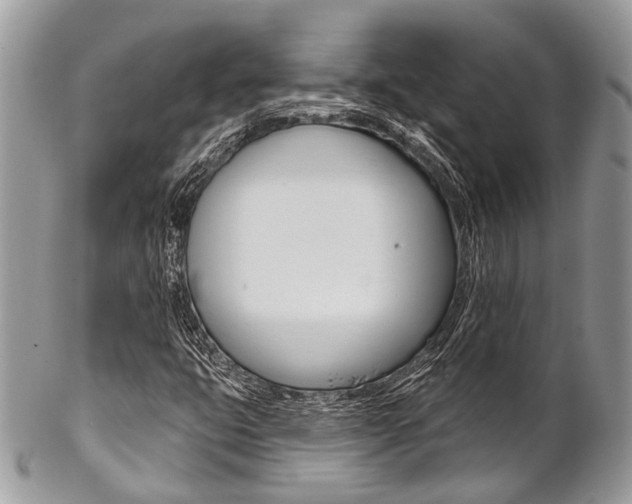 X0000102851399200808181037