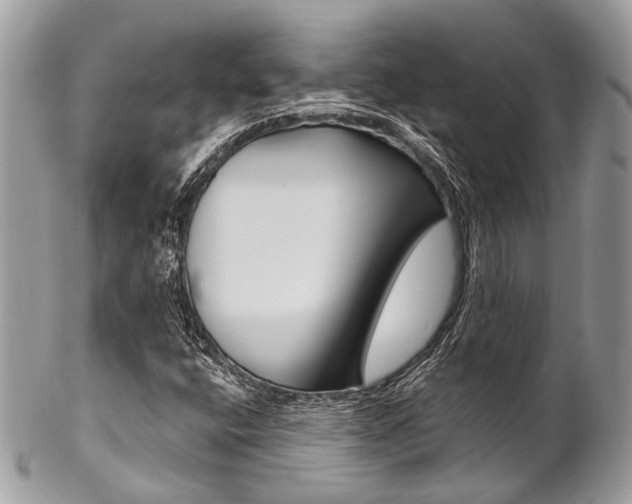 X0000102851400200808181037