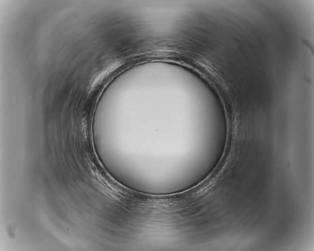 X0000102851402200808181037