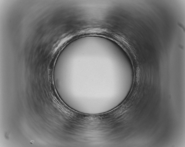 X0000102851404200808181037