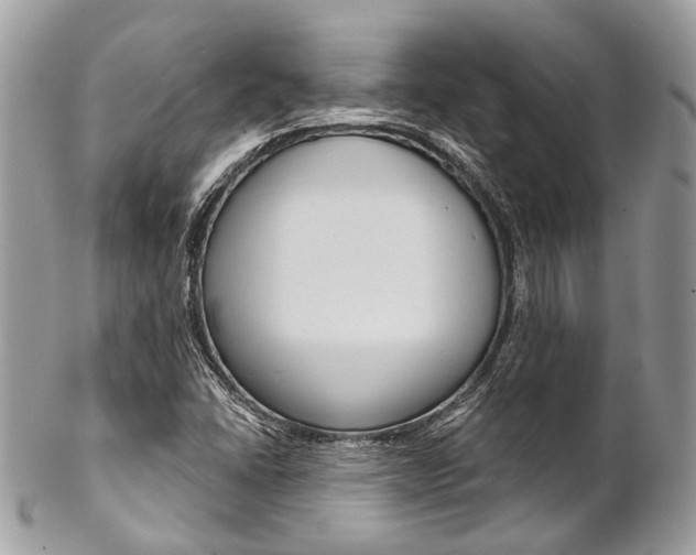 X0000102851406200808181037