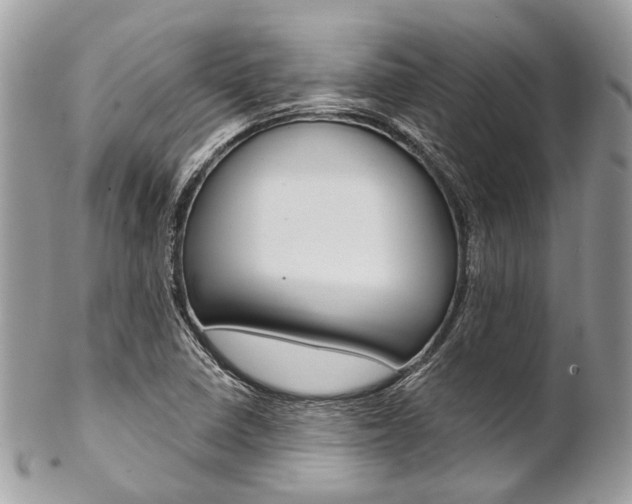 X0000102851410200808181037