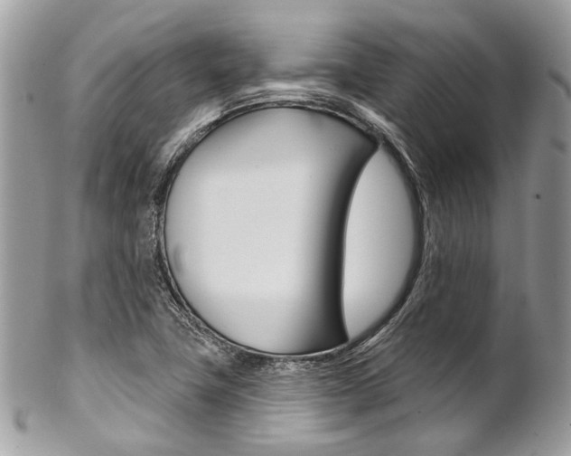 X0000102851411200808181037