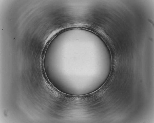 X0000102851412200808181037