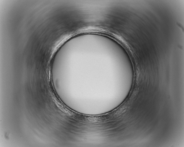 X0000102851413200808181037