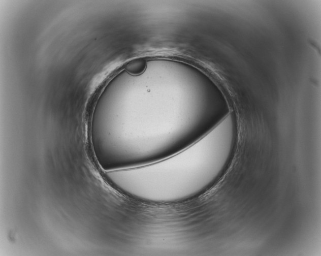 X0000102851414200808181037