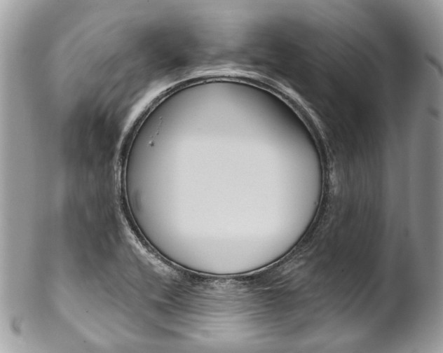 X0000102851416200808181037