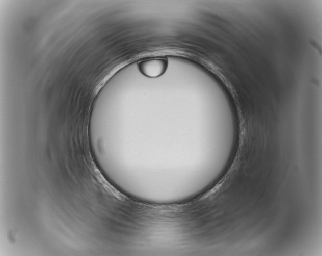 X0000102851417200808181037
