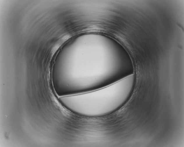 X0000102851418200808181037