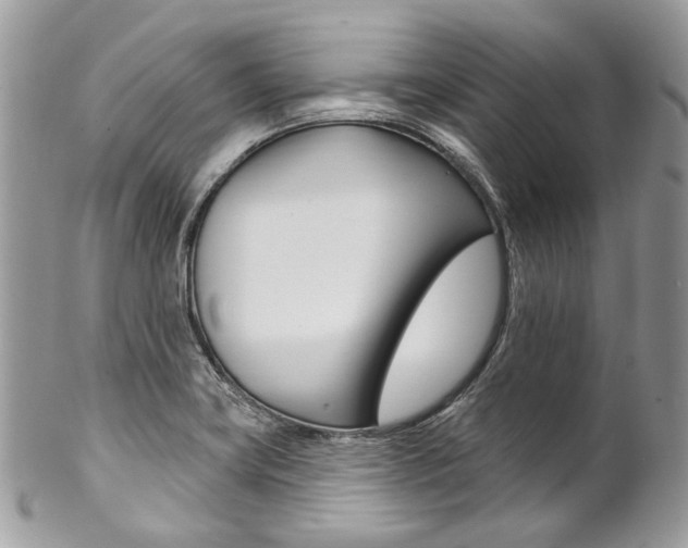 X0000102851419200808181037