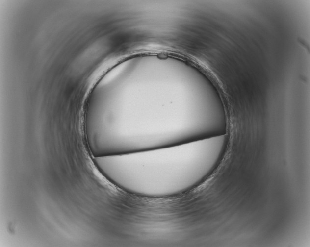 X0000102851421200808181037