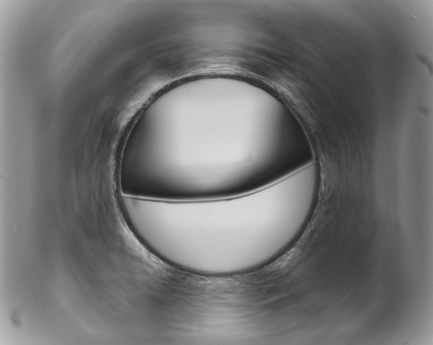 X0000102851422200808181037