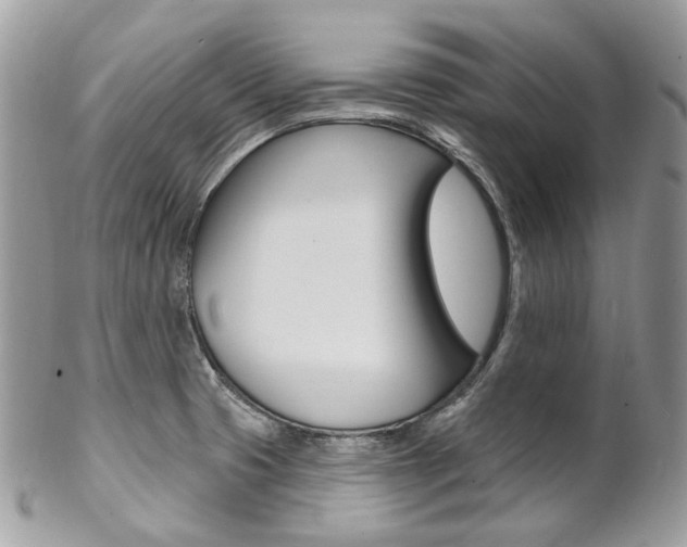 X0000102851425200808181037