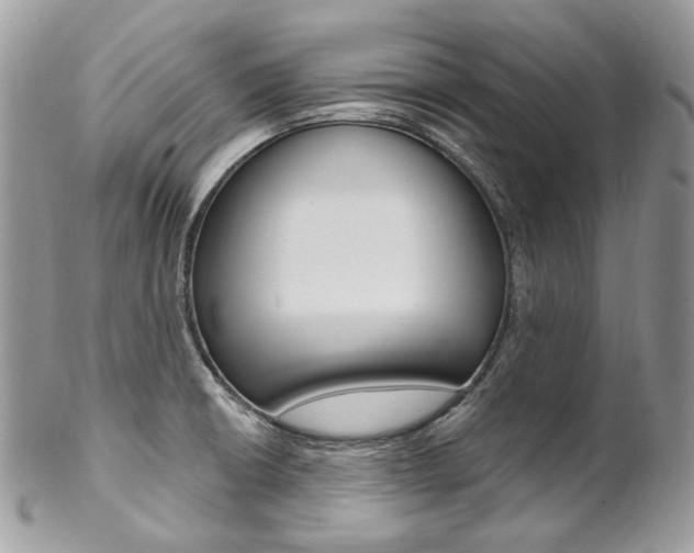 X0000102851426200808181037