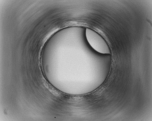 X0000102851427200808181037