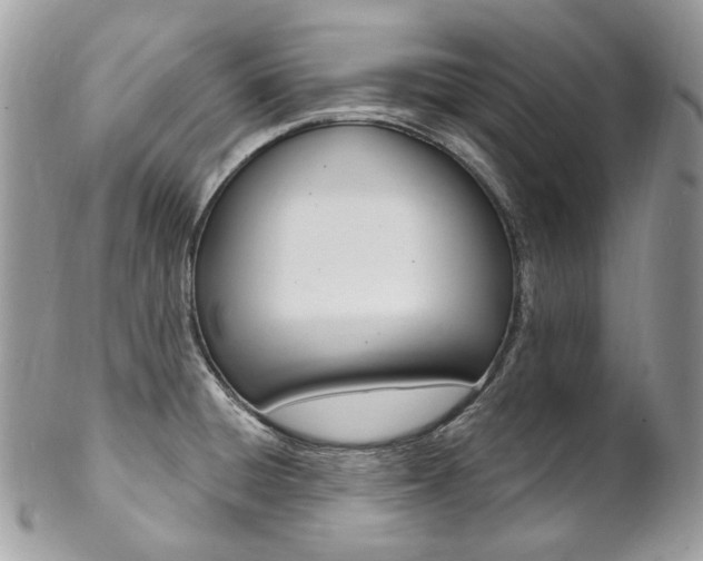 X0000102851428200808181037