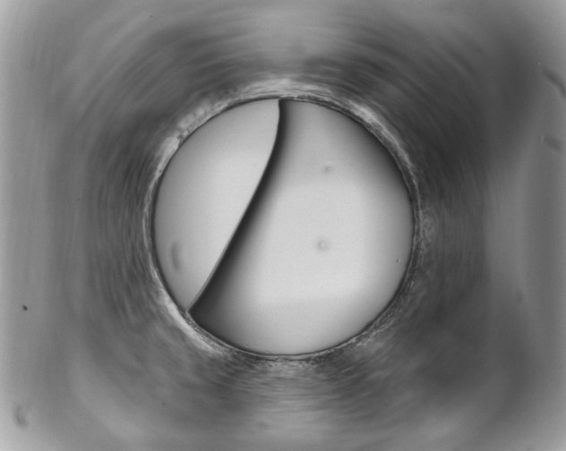 X0000102851429200808181037