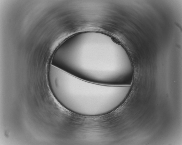 X0000102851430200808181037