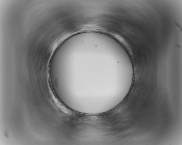 X0000102851431200808181037